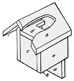 Wrens bird house plan