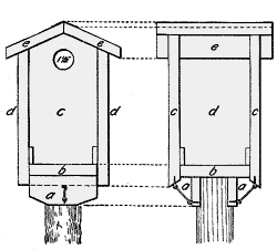 Blue bird house plan