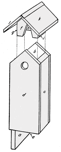 Flicker bird house plan