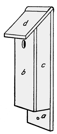 Woodpecker bird house plan