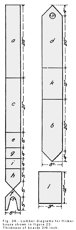 Flicker bird house building plan