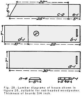 Woodpecker bird house building plan